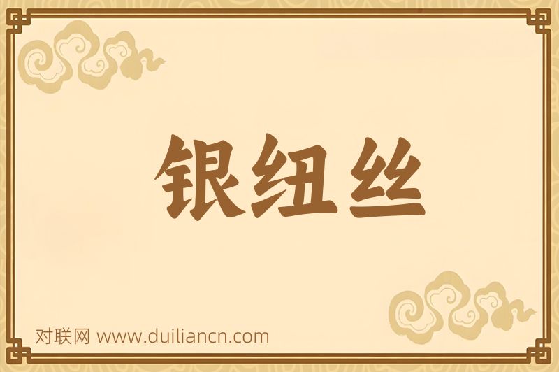 银纽丝词语的意思