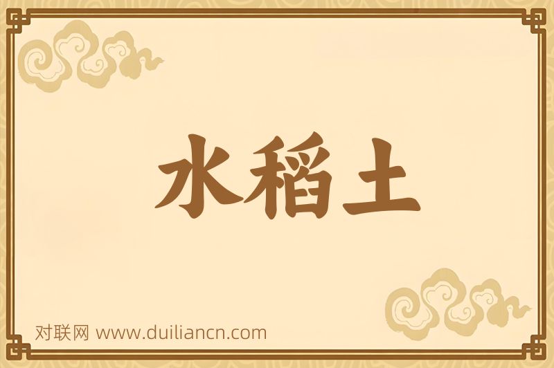 水稻土词语的意思