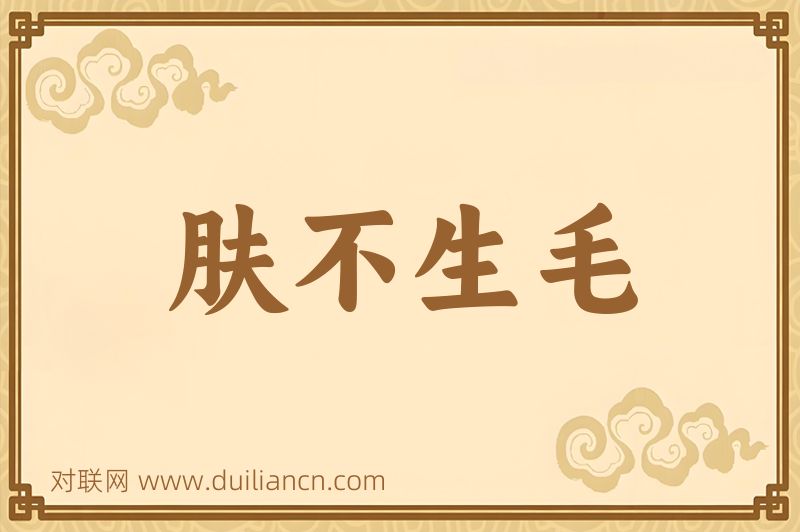 肤不生毛词语的意思