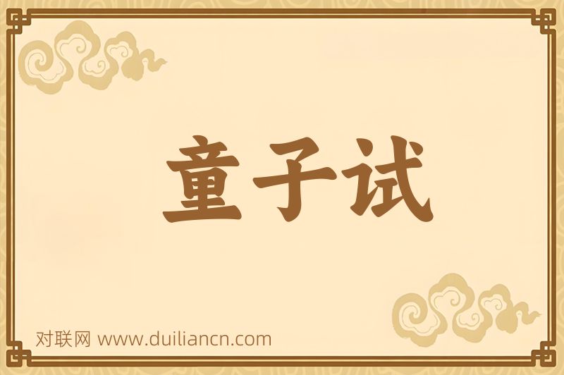 童子试词语的意思