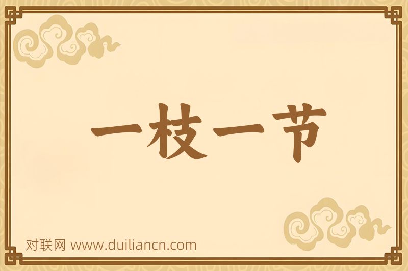 一枝一节词语的意思