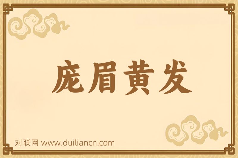 庞眉黄发词语的意思