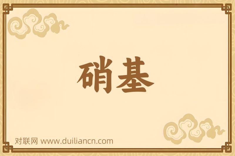 硝基词语的意思