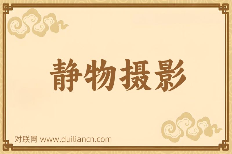 静物摄影词语的意思