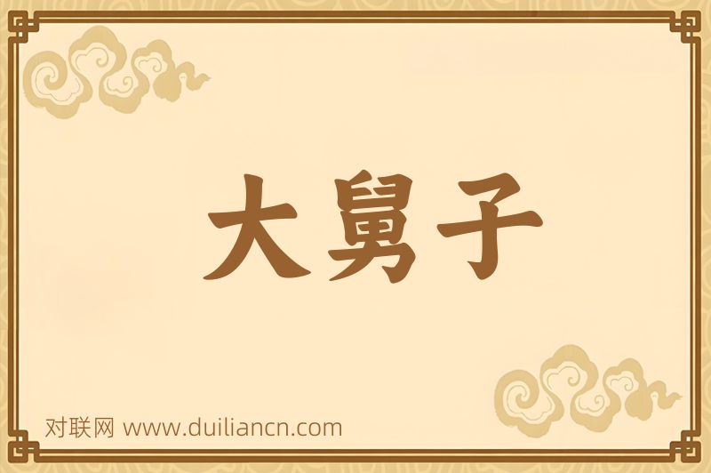 大舅子词语的意思