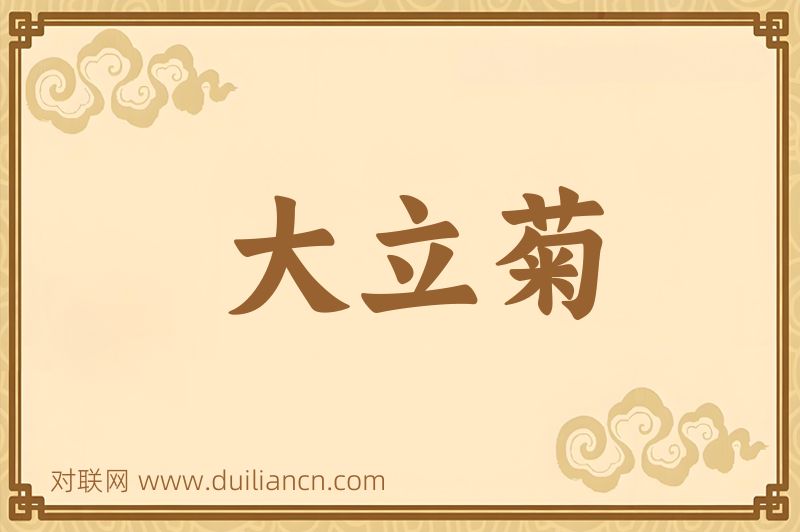 大立菊词语的意思