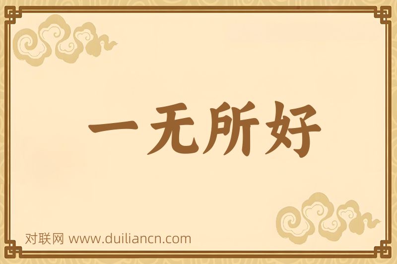 一无所好词语的意思