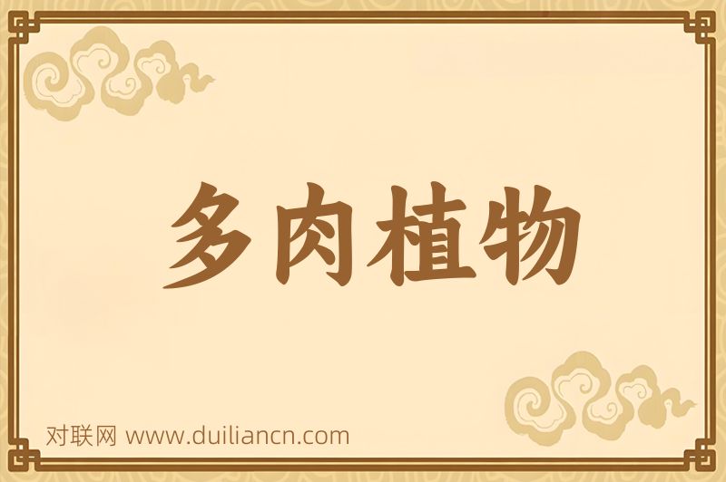 多肉植物词语的意思