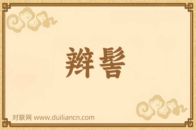 辫髻词语的意思