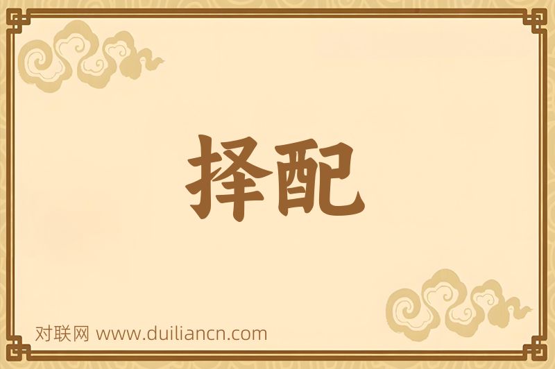 择配词语的意思