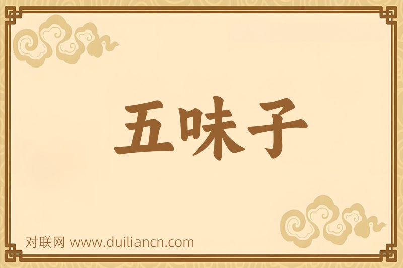 五味子词语的意思