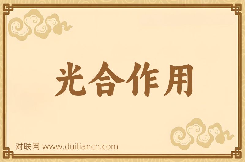 光合作用词语的意思