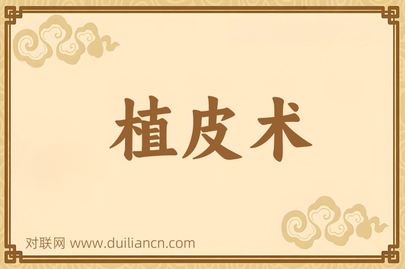 植皮术词语的意思