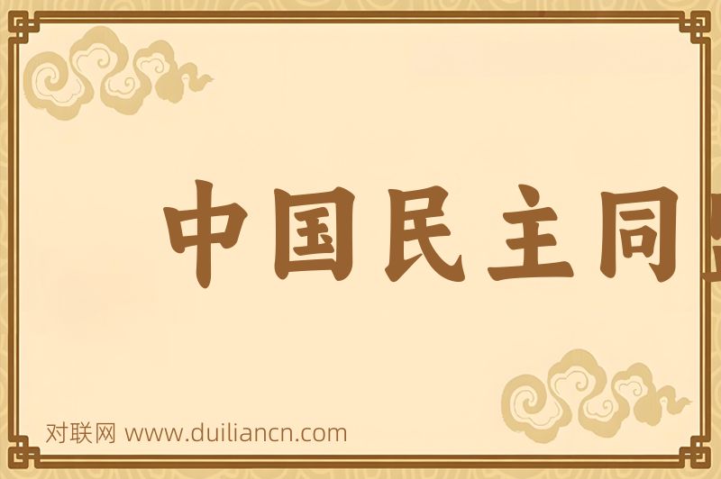 中国民主同盟词语的意思