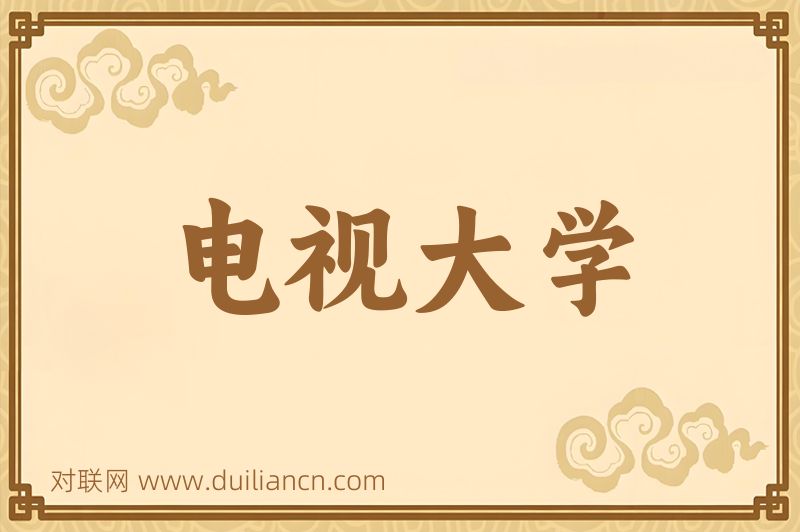 电视大学词语的意思