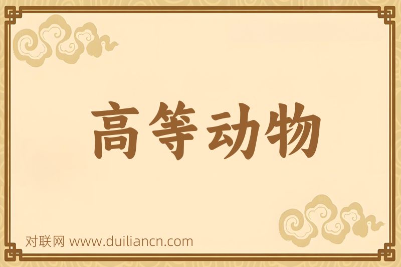 高等动物词语的意思