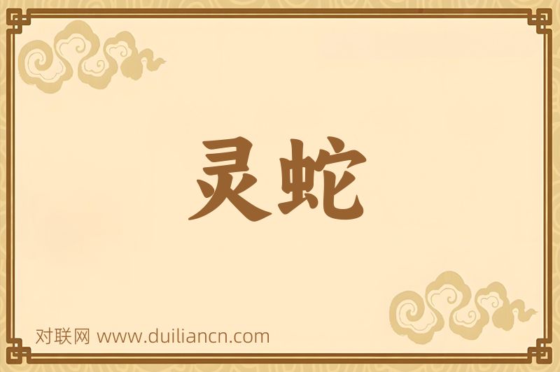 灵蛇词语的意思