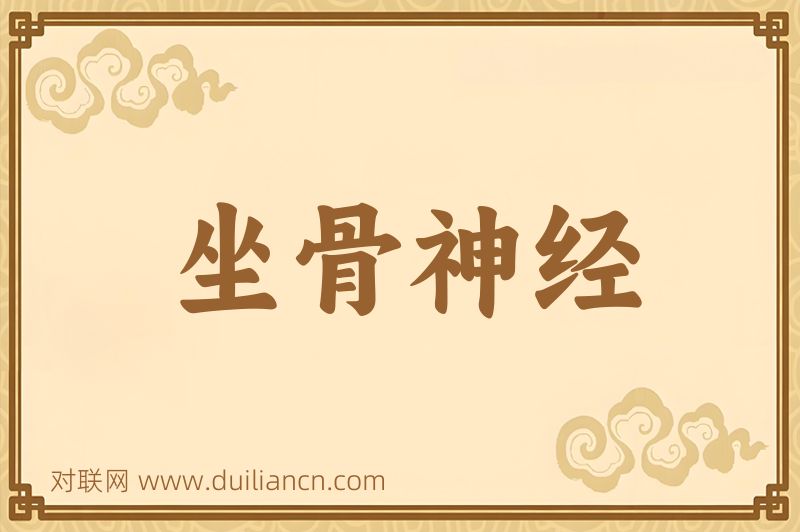 坐骨神经词语的意思