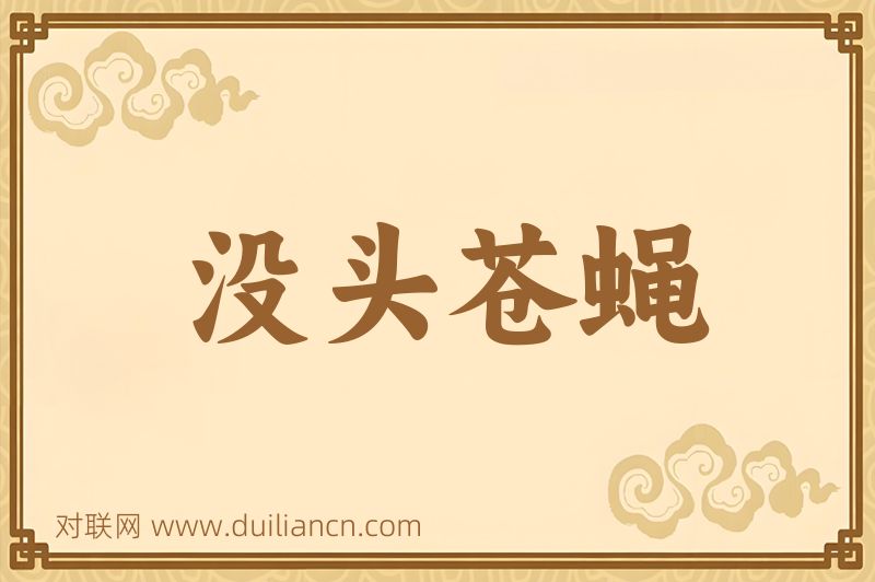 没头苍蝇词语的意思