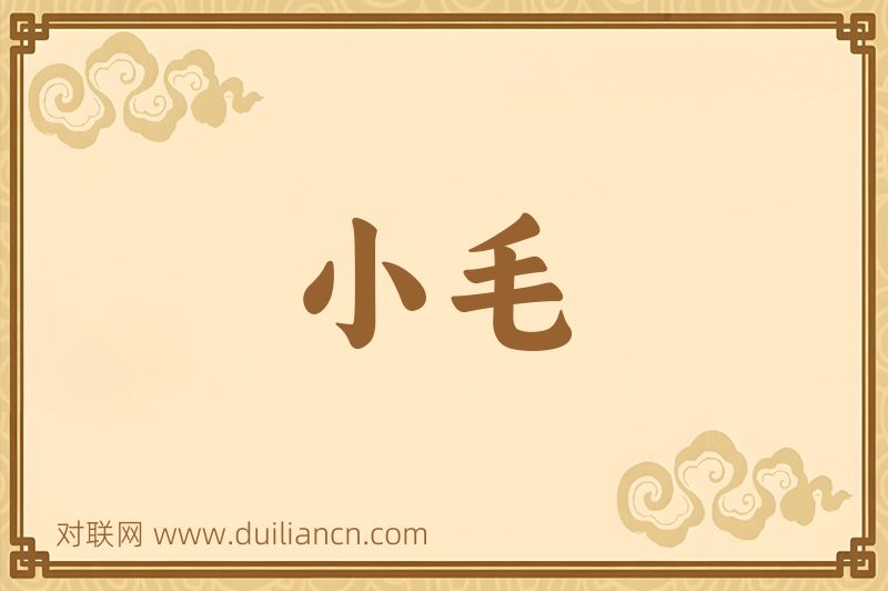 小毛词语的意思
