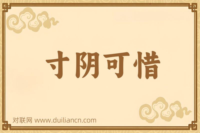 寸阴可惜词语的意思