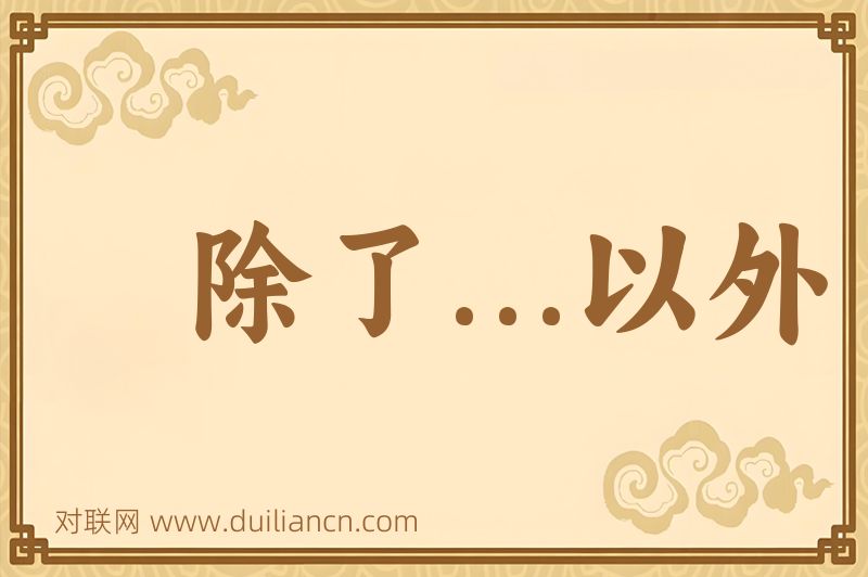除了...以外词语的意思