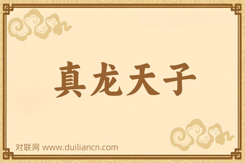 真龙天子词语的意思