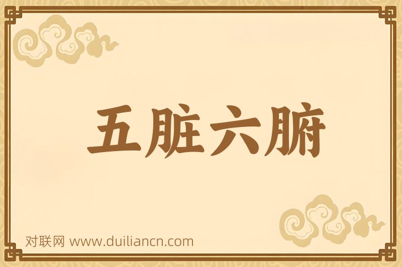 五脏六腑词语的意思