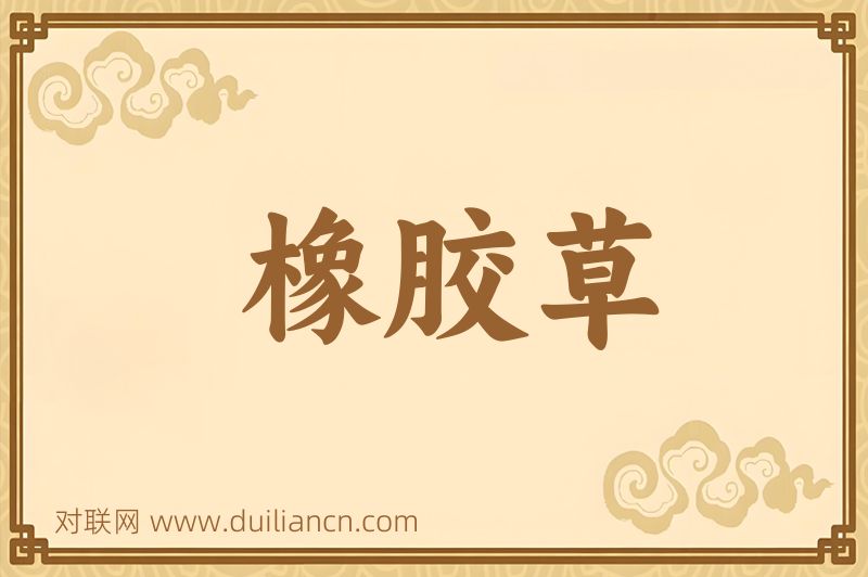 橡胶草词语的意思