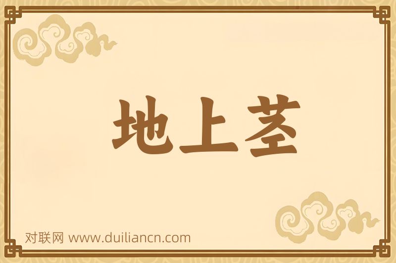 地上茎词语的意思