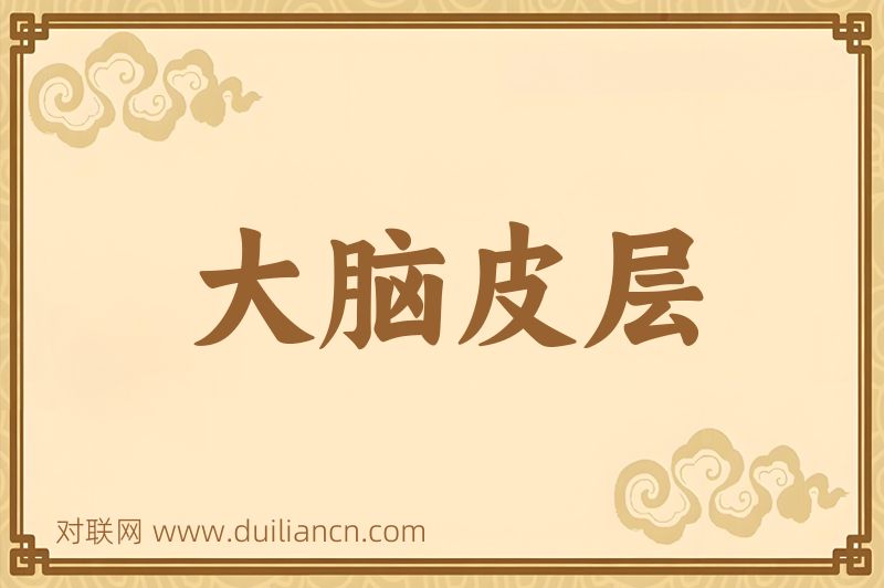 大脑皮层词语的意思