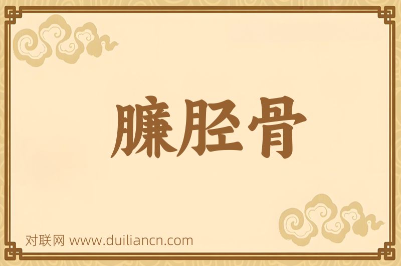 臁胫骨词语的意思