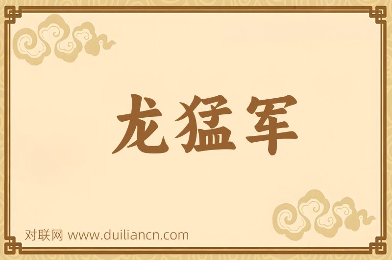 龙猛军词语的意思