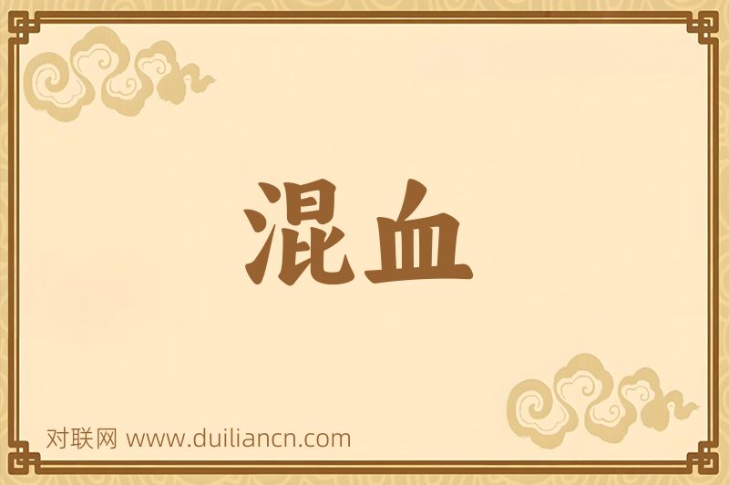 混血词语的意思