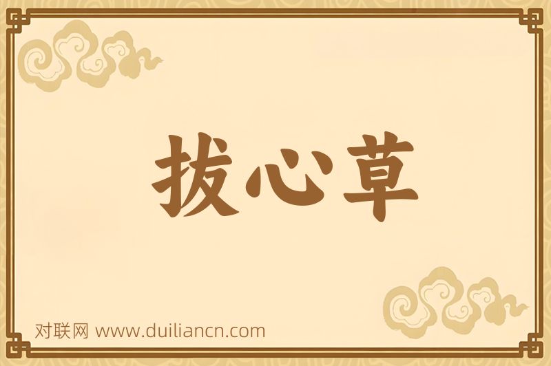 拔心草词语的意思