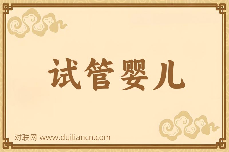 试管婴儿词语的意思