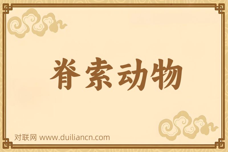 脊索动物词语的意思