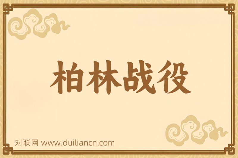 柏林战役词语的意思