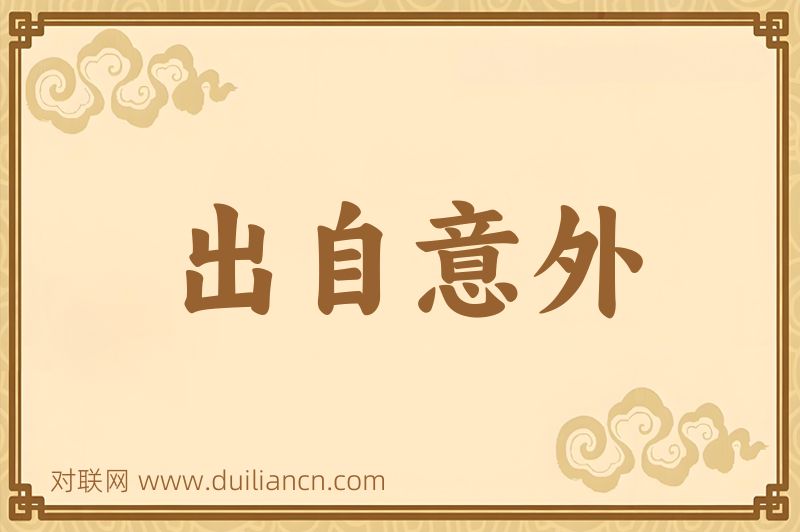 出自意外词语的意思