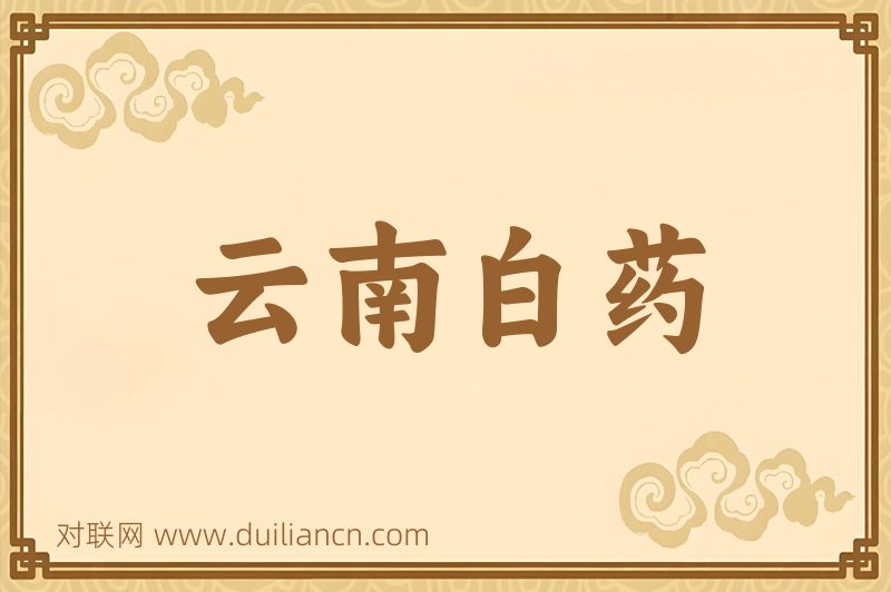 云南白药词语的意思