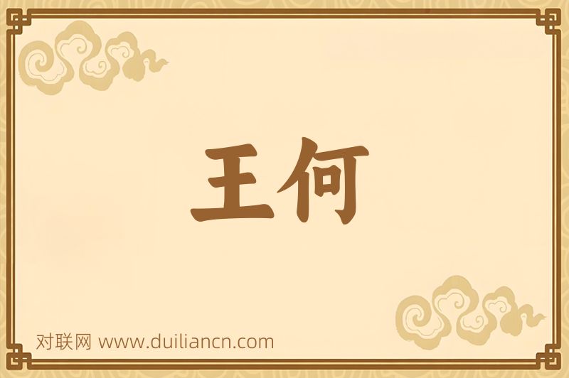 王何词语的意思