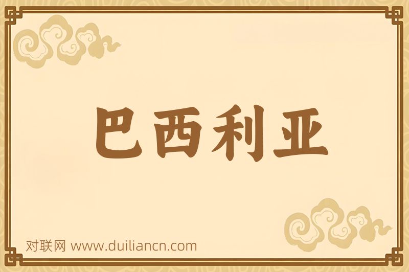 巴西利亚词语的意思