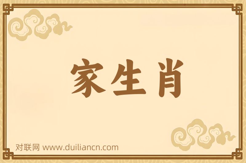 家生肖词语的意思
