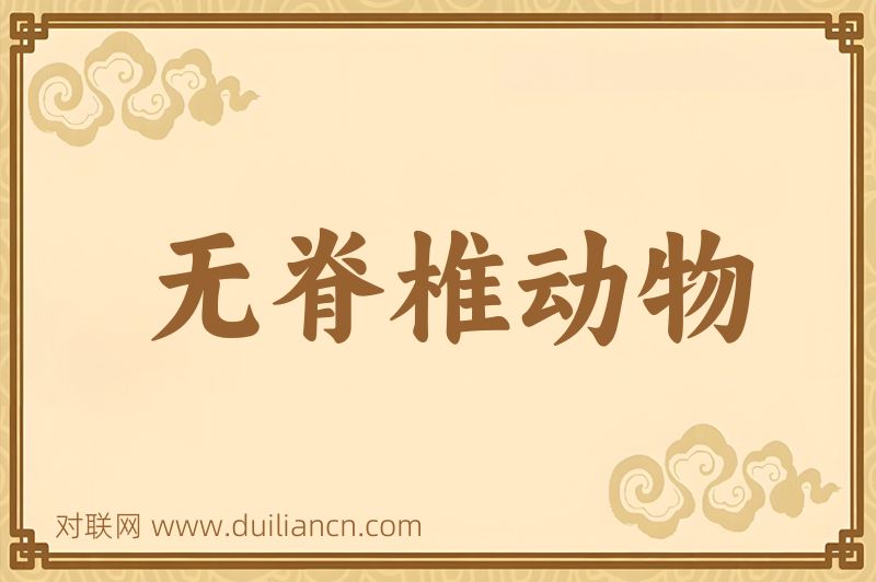 无脊椎动物词语的意思