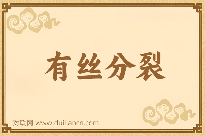 有丝分裂词语的意思