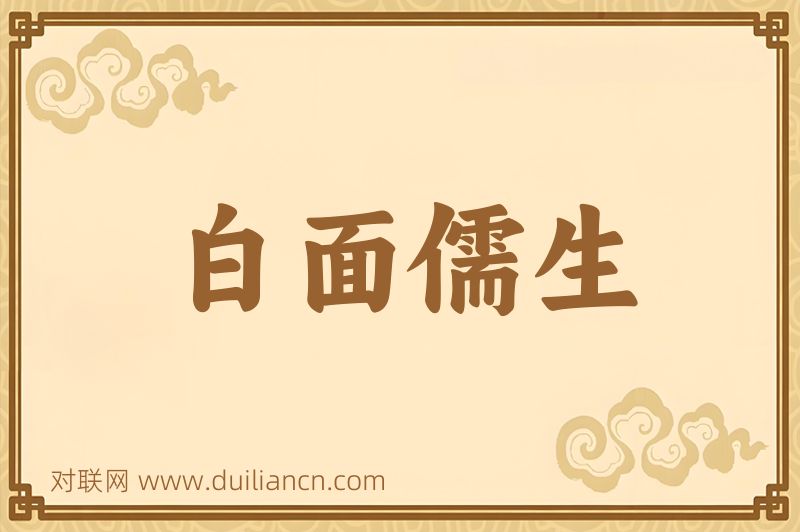 白面儒生词语的意思