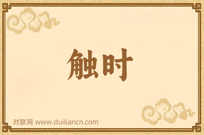 触时词语的意思