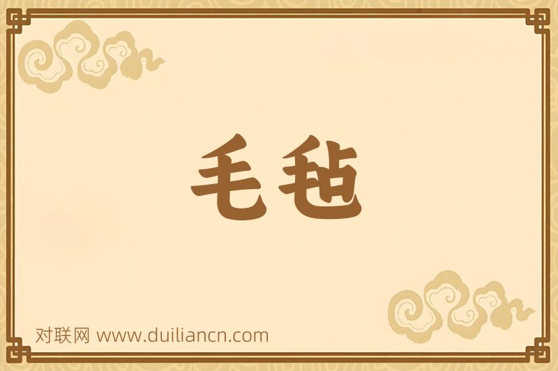 毛毡词语的意思