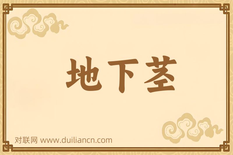地下茎词语的意思