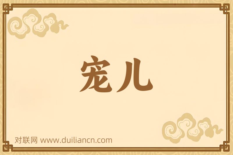 宠儿词语的意思